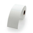 Dymo Name Badge Tag (Non Adhesive)