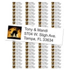Scary Black Cat Return Address Labels