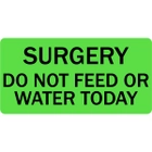Surgery Do Not Feed or Water Today Veterinary Labels