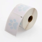 Veterinary Prescription Labels with Paw Print - 2-1/8 x 2-3/4"